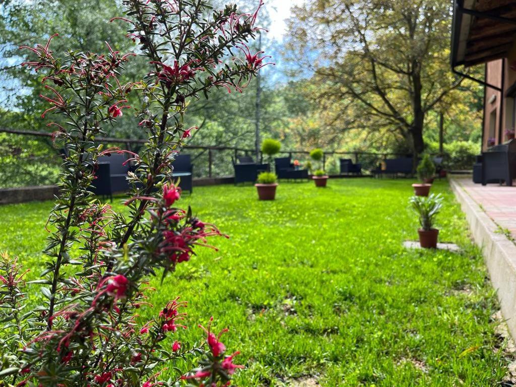 Agriturismo Tre Elle Acri Экстерьер фото